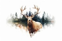 Double exposure photography wild animals and forest wildlife antler mammal.