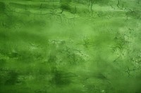 Green wall stucco texture Background backgrounds textured abstract.