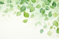 Hand painted leaf watercolor drawing green background backgrounds plant tranquility.