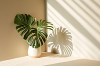  Empty white corner leaf shadow plant. AI generated Image by rawpixel.