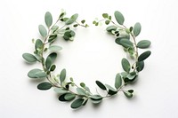 Wreath plant Eucalyptus wreath leaf celebration. 