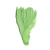 Tea green flat paint brush stroke vegetable food white background.