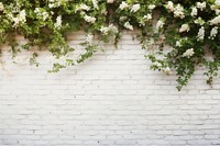 White brick wall background architecture backgrounds plant. AI generated Image by rawpixel.