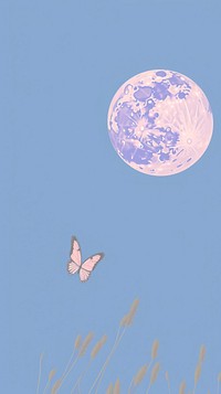 Butterfly and moon astronomy outdoors nature.