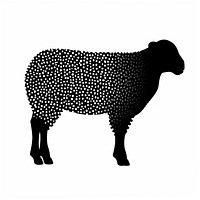 Sheep livestock animal mammal.