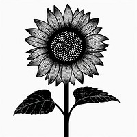Sunflower drawing sketch plant.