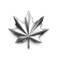 Maple leaf icon Chrome material silver shape shiny.