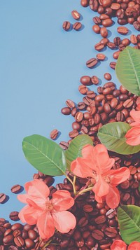 Coffee beans background flower plant freshness.