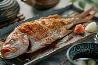 Japanese food set seafood animal fish.