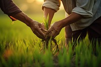 Farmers plant farm hand.