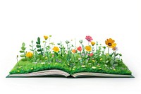 Book publication outdoors flower.