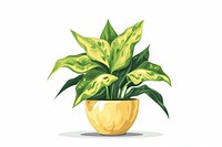 Plant flowerpot leaf white background.