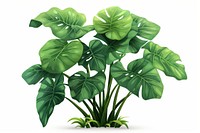 Plant green leaf white background.