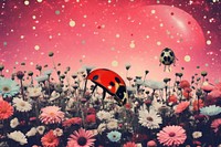 A ladybug flower outdoors nature.