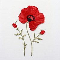 A poppy in embroidery style flower plant inflorescence.