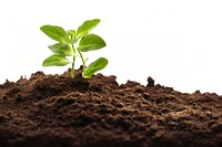 Several small plants are growing out of a dirt pile leaf soil agriculture. AI generated Image by rawpixel.
