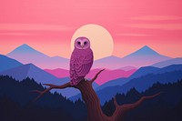 Owl in dusk time landscape outdoors nature.