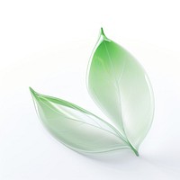 Simple leaf plant petal green.