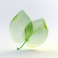 Sprout leaf plant petal green.