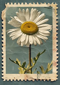 Vintage postage stamp with daisy sunflower plant inflorescence.