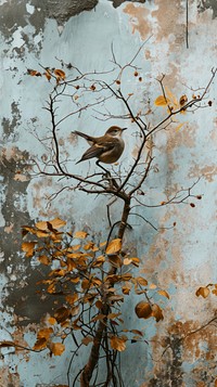 Vintage wallpaper art painting sparrow.