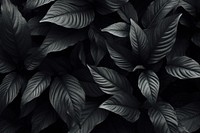 Picture of leafy dark desktop wallpaper black backgrounds monochrome. AI generated Image by rawpixel.