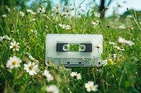 Cassette tape  flower wildflower nature.