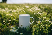 Mug with label packaging  flower field outdoors.