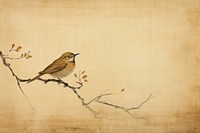 Old khaki paper with sketch of bird sparrow animal wildlife.