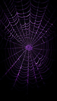  Dark purple spider web backgrounds concentric complexity. AI generated Image by rawpixel.