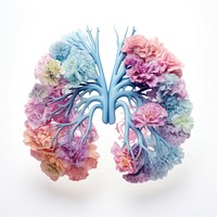 Lung flower white background microbiology.