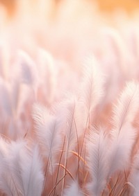  A field landscapes feel like synthetic fur backgrounds plant grass. AI generated Image by rawpixel.