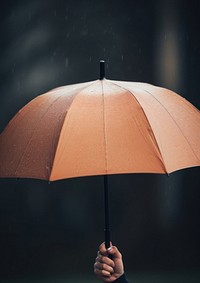  A person holding an umbrella rain protection sheltering. AI generated Image by rawpixel.
