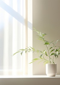  Window morning time with greenery windowsill plant architecture. AI generated Image by rawpixel.