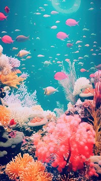 Under the sea and colorful coral underwater aquarium outdoors. 