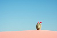 Cactus on the dune landscape outdoors nature. AI generated Image by rawpixel.