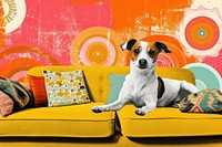 Retro collage of dog waving on sofa furniture cushion animal.
