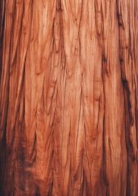Redwood sequoia tree wood texture backgrounds hardwood plant.