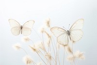Three white butterflies butterfly animal insect.