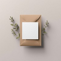 Packaging  paper simplicity letterbox.