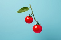 Cherry tomato fruit plant food.