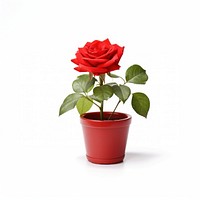 Red rose plant flower leaf. AI generated Image by rawpixel.