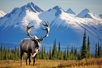 Caribou in front of McKinley mountain range landscape panoramic wildlife. AI generated Image by rawpixel.