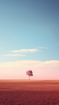 Photography of a field nature landscape outdoors.