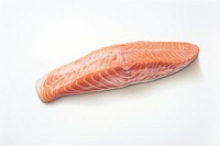 Raw salmon seafood white background freshness. AI generated Image by rawpixel.