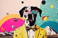 Collage Retro dreamy dog portrait glasses animal.