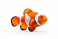 Clown fish animal white background pomacentridae. AI generated Image by rawpixel.