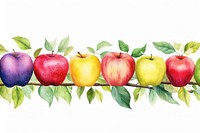 Apple border apple fruit plant.