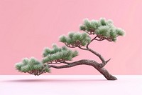 Japanese bonsai pine branch plant tree pink.