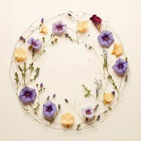 PNG Real pressed morning glory and flowers circle wreath shape. AI generated Image by rawpixel.